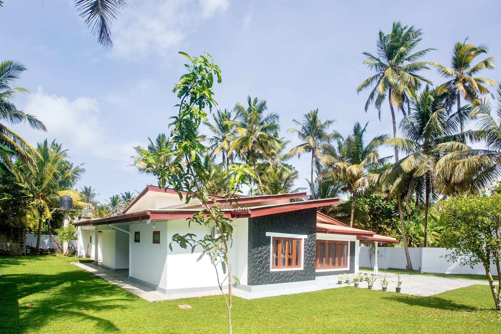 Lawn and coconut palms around the villa